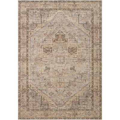 Jacobo Beige / Earth Area Rug