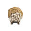 Chocolate Check Hedgehog