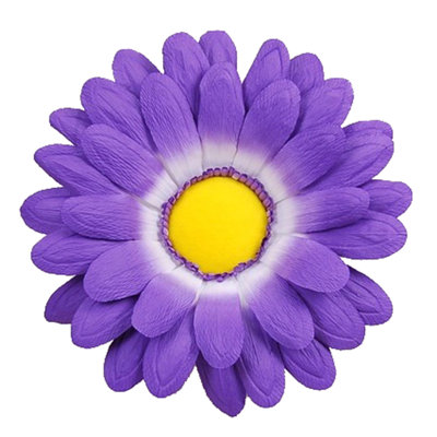 Daisy Arrangement