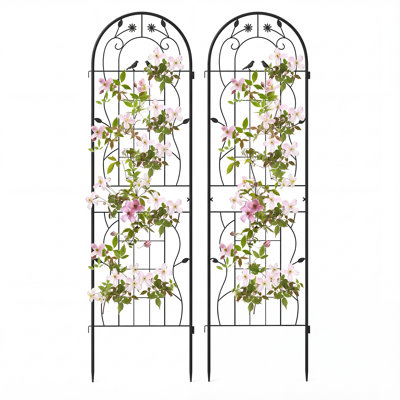 Metal Arched Trellis