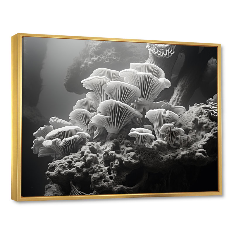 Anémone noire et blanche I sur toile, H 30 po x l 40 po x P 1,5 po, Cadre flottant doré
