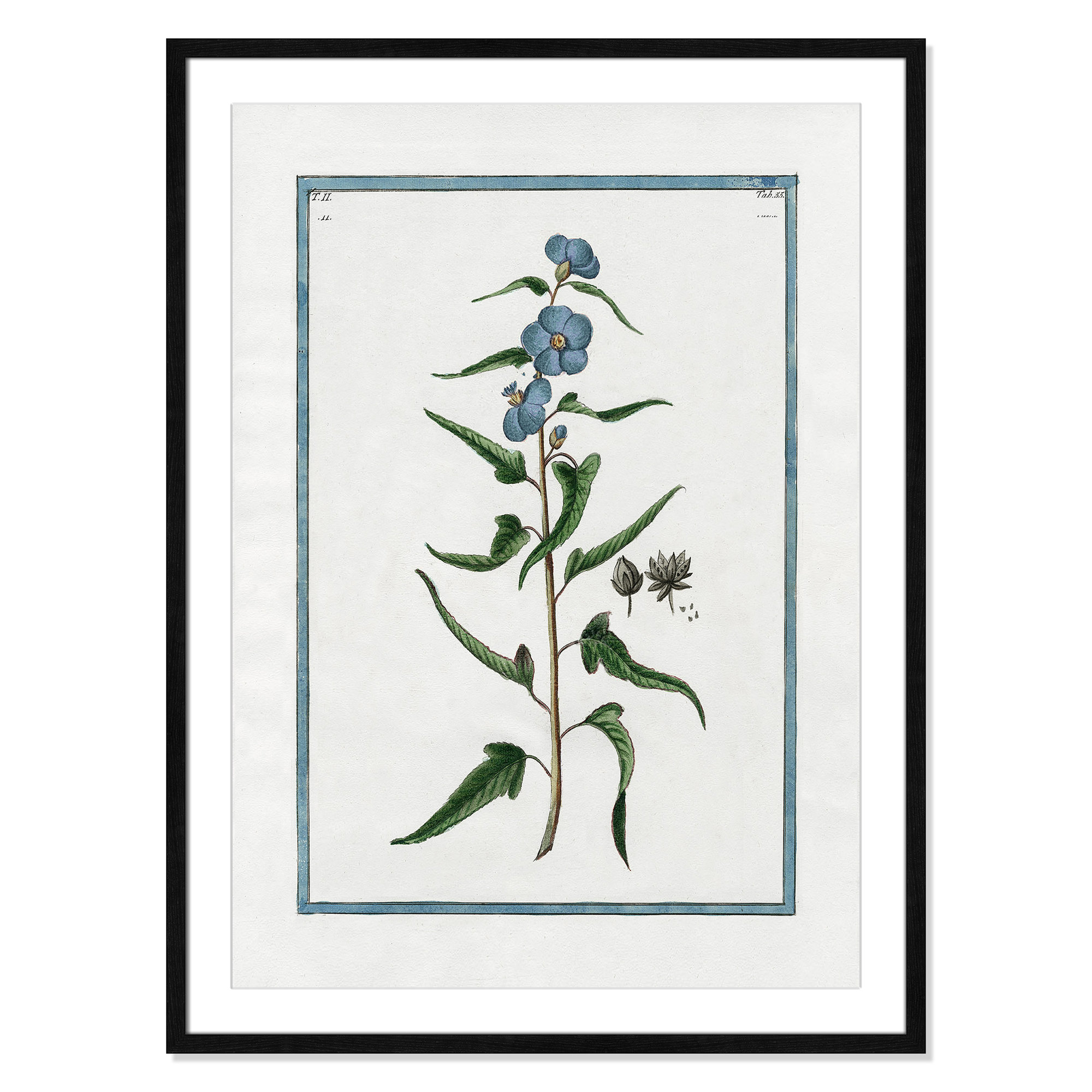 Shabby Elegance Botanical I - Framed Art Full Bleed, 25.5" W x 35.5" H, Black Framed