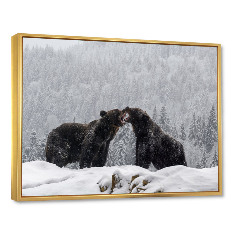 «Two Angry Brown Bear Fight in Winter Forest», reproduction sur toile, H 24 po x l 32 po, Cadre flottant doré