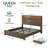 Queen Size Storage Bed with Multi-Function Headboard, Space Saving Design, Brown-192090347-186564643