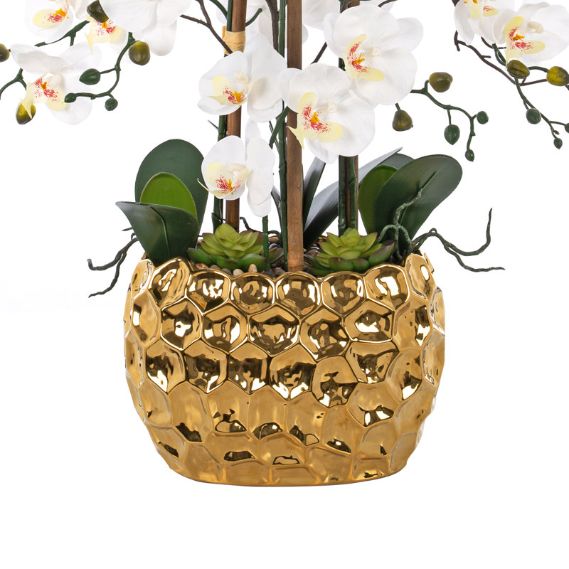 Arrangement floral orchidée phalaenopsis