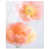 High-Gloss Acrylic Print is unavailable