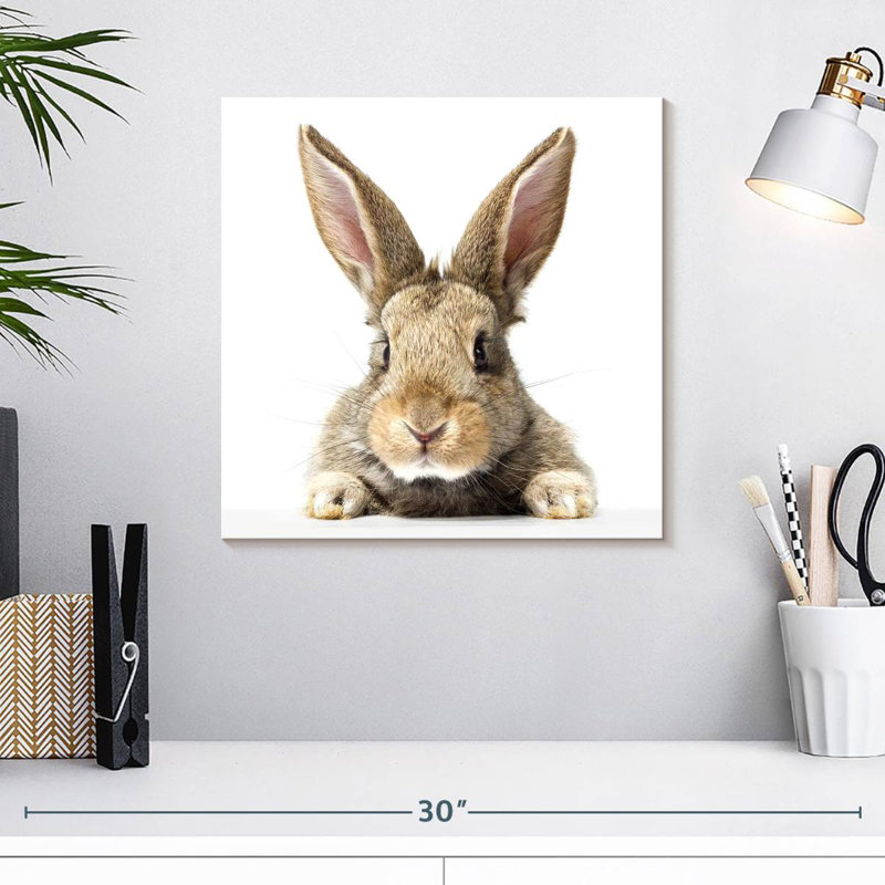 Crowle Fluffy Easter Rabbit, 16" H x 16" W
