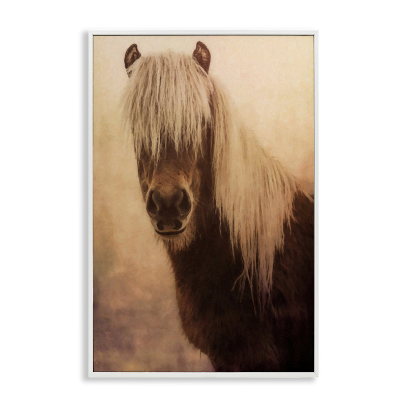  «Misty Morning Horse», art de la giclée encadrée par Graffi *ee Studios, H 18 po x l 12 po