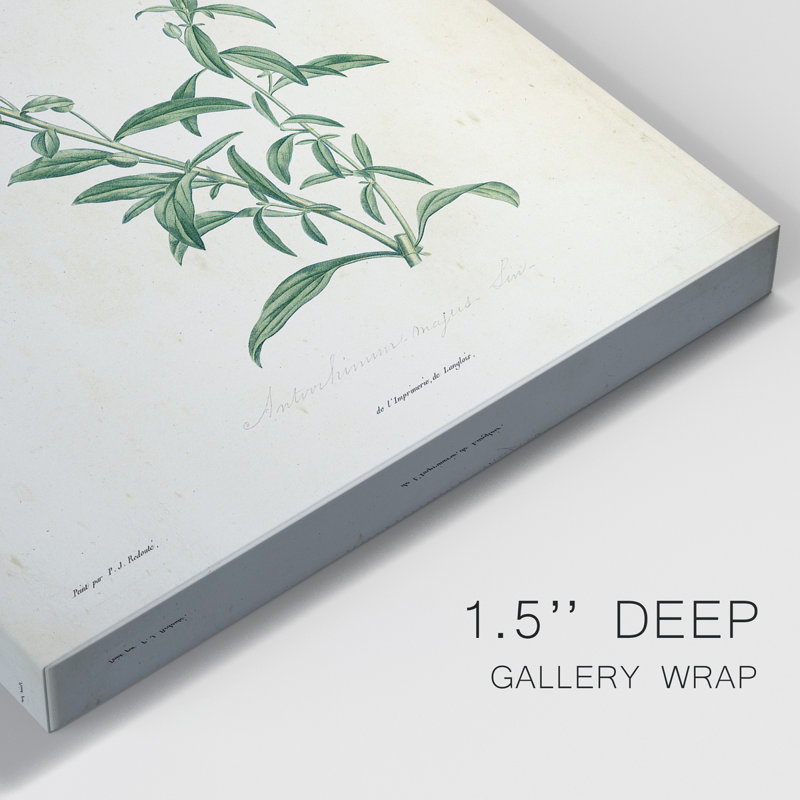 «Traditional Botanical I», impression sur toile tendue, H 60 po x l 40 po x P 1 po