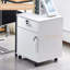 Danby 40cm Wide 1 -Drawer File Cabinet-1745565988