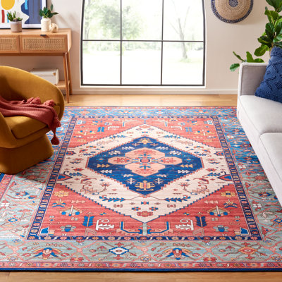 Tucson Vintage Look Machine Washable Non-Slip Area Rug in Black & Grey