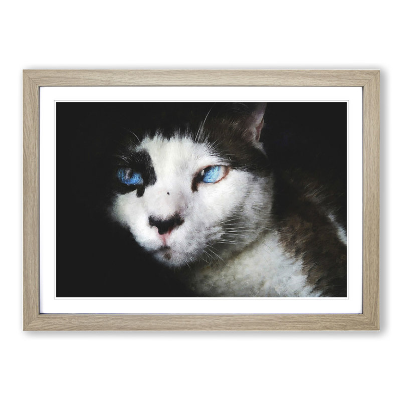 Portrait of a Cat Vol.10 - Picture Frame Painting, Oak Framed, 36cm H x 48cm W x 2cm D