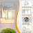 2-Pack Outdoor Wall Lantern-203240556