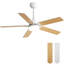 Ventilateur de plafond moderne à 5 pales avec lumière DEL et télécommande Derick-362760974-369074906