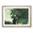 Oak Framed