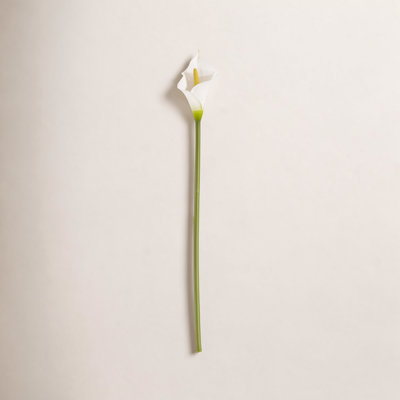 Rimma Calla Lily Stems