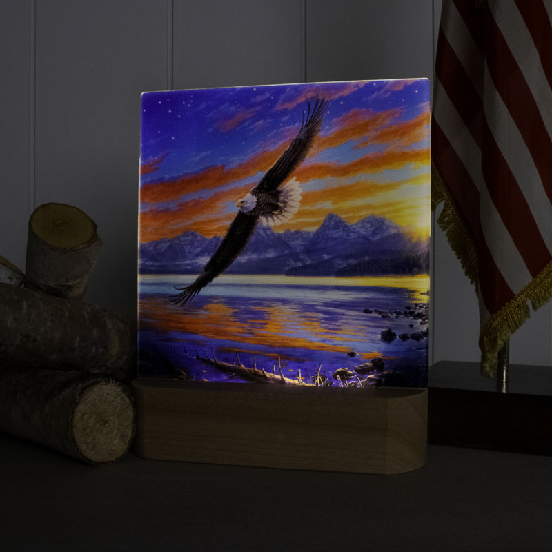 Freedom Flight LED Nightlight