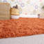 Anastyn Solid Colour Shag Area Rug-1576925045