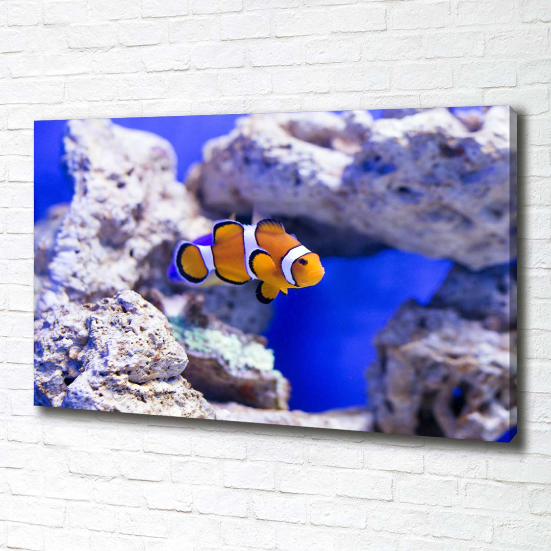 Leinwanddruck - Wandkunst - Drucke auf Leinwand - 100X70 Bildmotiv: Clown Fisch