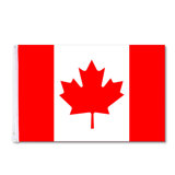 Jatari Double Sided 35'' H x 59'' W Polyester House Flag