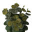 Fausse plante en pot 10 po