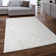 Anartz Solid Colour Shag Area Rug