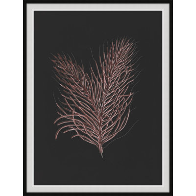Timeless Relic 4 Framed Print
