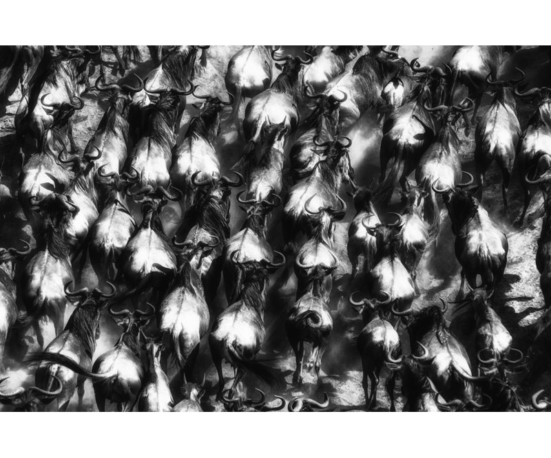 Wrapped Canvas Print, 121.92 cm H x 81.28 cm W
