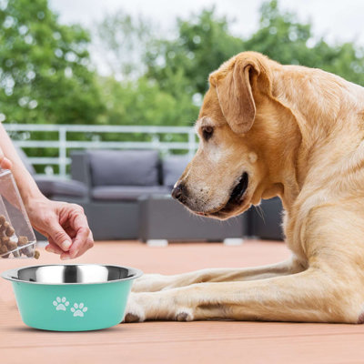 Ensemble de 2 bols en acier inoxydable pour animaux