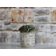 Pots de fleurs Salinas en céramique émaillée (lot de 6) - Intérieur/Extérieur-4142389