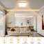 Chrystene Acrylic LED Flush Mount