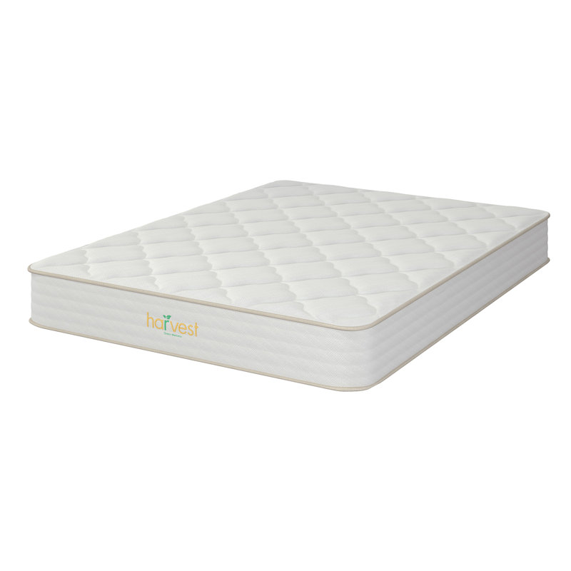 Twin Organic Latex Foam Pillowtop Mattress