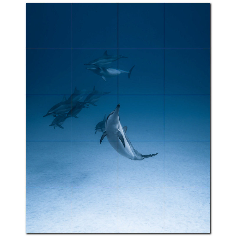 Murale en céramique 8 "x 8" Dolphin Photo