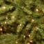 Dunhill Fir 10' Hinged Green Artificial Christmas Tree with 1200 LED White/Multicolor Lights