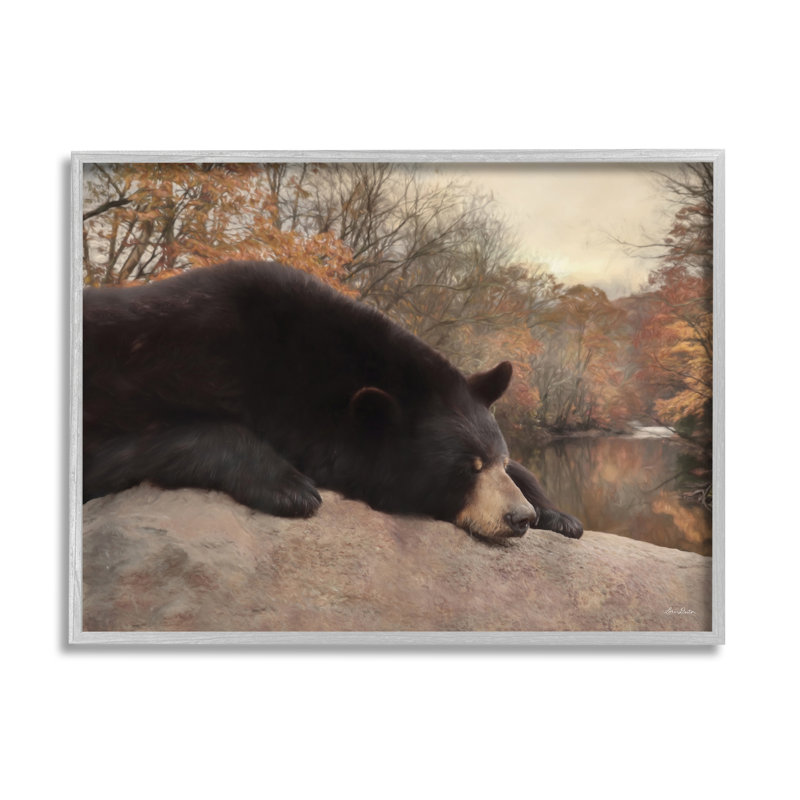 Ours au repos, automne, feuillage lac noir, estampe numérique par Lori Deiter, H 11 po x l 14 po x P 1,5 po