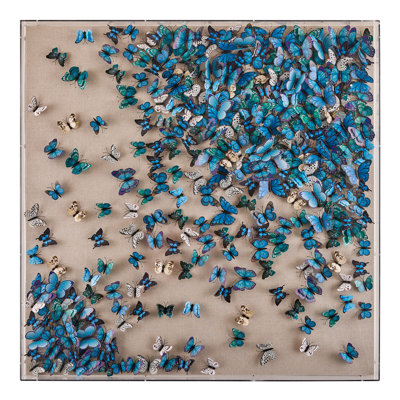 Tony Fey's Flight Of The Butterflies