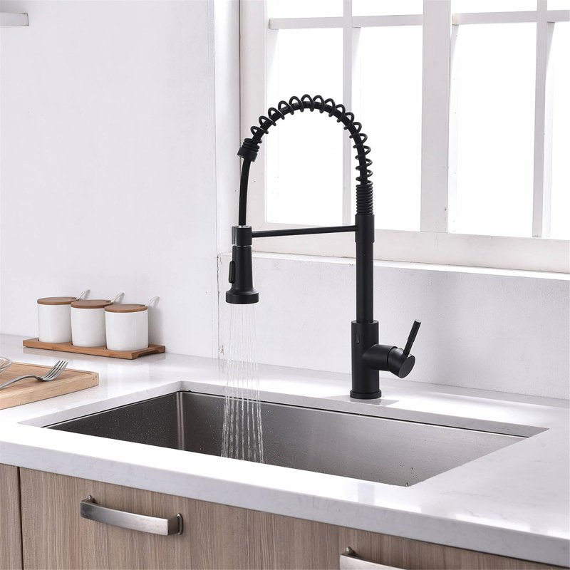 Robinets d'évier de cuisine à poignée simple rétractable avec accessoires, Nickel brossé