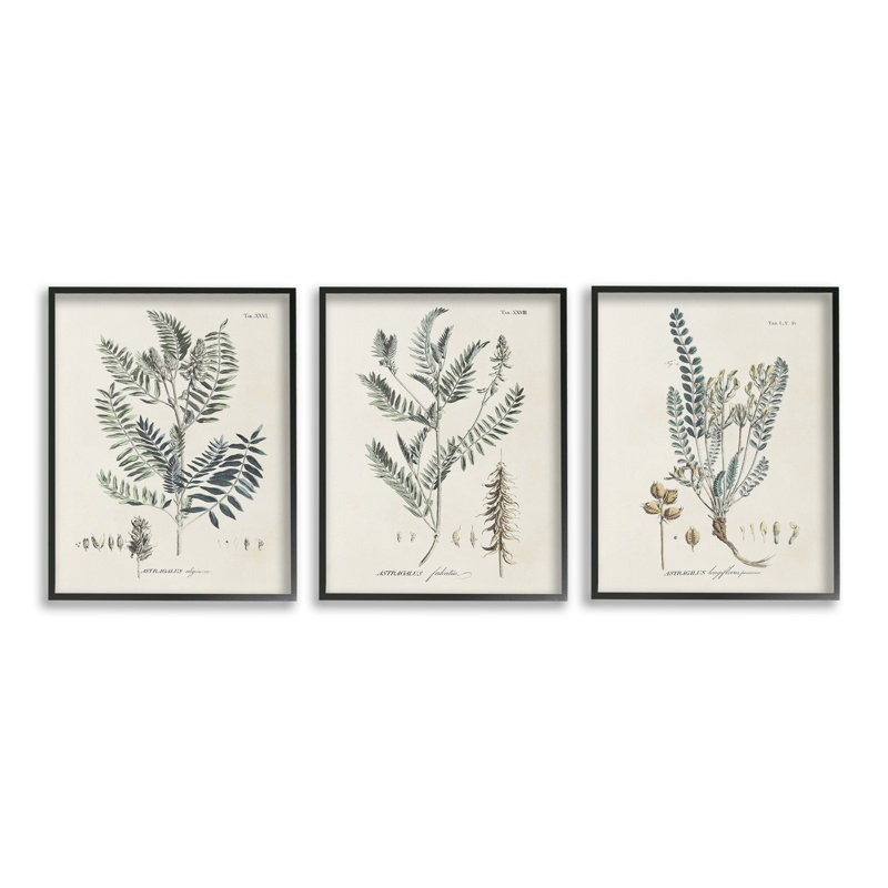 "Woodland Plantudes" par Martini 3 - Pièces sur, H 20 po x l 16 po, Estampe numérique Farmhouse