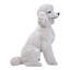 Statue caniche assis-935637460
