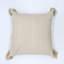 Square Indoor/Outdoor Pillow Cover-167056528
