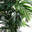 Artificial Palm Tree in Pot-88980149
