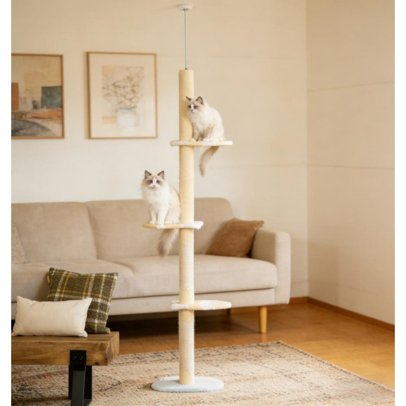 Arbre à chat, arbre à chat à 4 niveaux