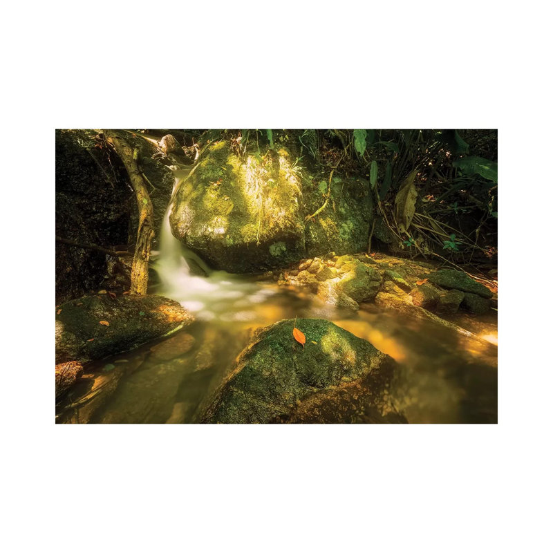 Tropical Forest XVII by Glauco Meneghelli - Wrapped Canvas Print, 20.32cm H x 30.48cm W x 1.905cm D