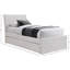 Pittenger Chenille Fabric Twin Trundle Bed-97582918