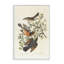 «Classic Audubon Bird Study», art giclée par one1000paintings-111767505-107872992