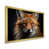 Gold Single Picture Framed