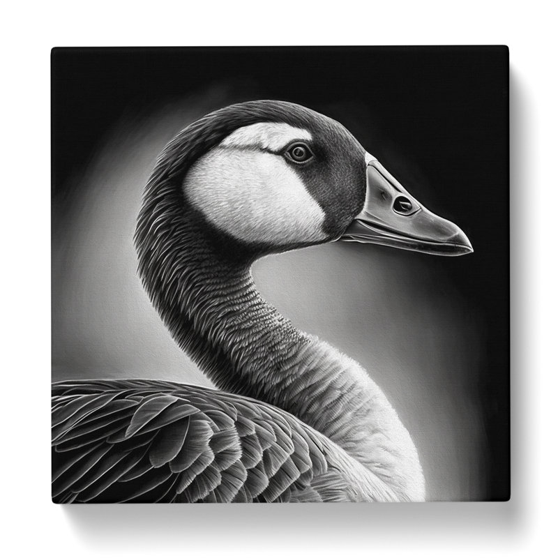 Goose Drawing - Print