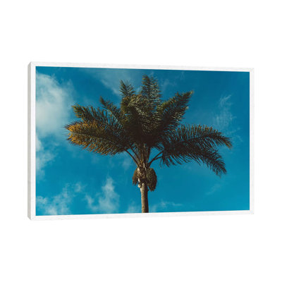 Palm Tree II 1 Piece Wall Art on Canvas