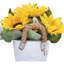 11,8 Plante