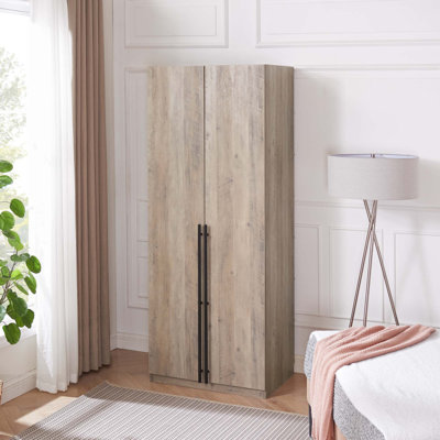 Lee Freestanding Wardrobe Closet 2.0 with 1 Hanging Rod, 1 Shelf, and 2 Drawers